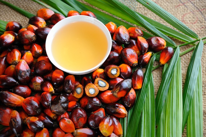 روغن پالم چیست و چه استفاده‌‌هایی از آن می‌شود ؟