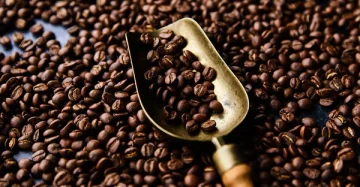 اسانس قهوه و کاربرد های آن تجارت فود