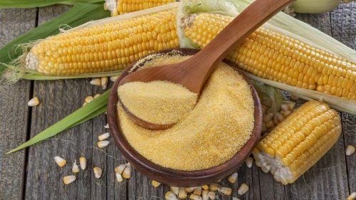 پوست آسیاب‌شده ذرت در تغذیه دام - خرید عمده از تجارت فود